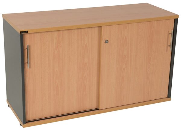 cabinet with 2 sliding doors