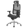 mesh back chair mechanism with arms and headrest